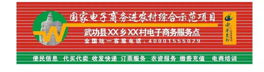 国家电子商务进农村示范工程项目,村级电商服务站招募