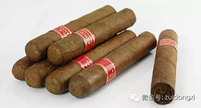 不曾驯服的野性,随风而逝