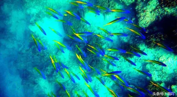 沙巴最美日落海滩,沙巴最美的岛是哪个岛