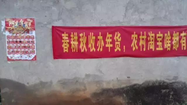 大学生村淘合伙人创业,在农村创业团队