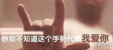 韩雪组装手机、吴彦祖造房子你不知道的明星隐藏技能