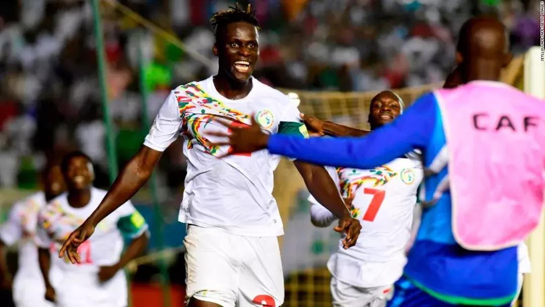 特兰加雄狮图片,特兰加雄狮