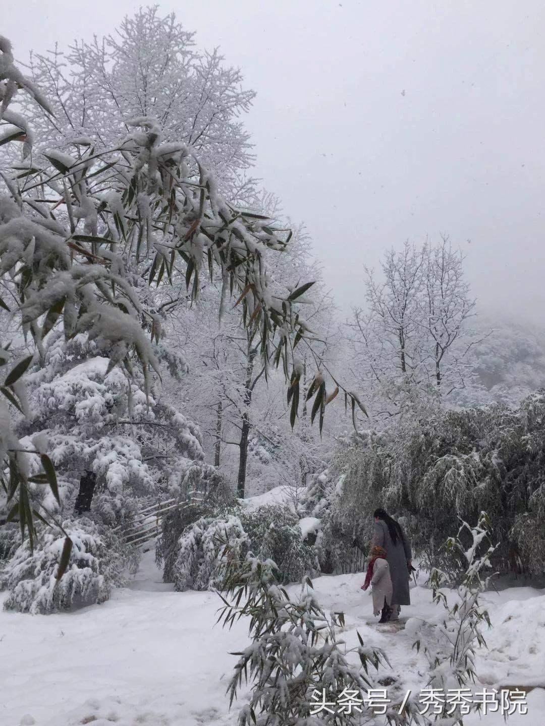 茶道养生课视频教程,茶道养生全集视频