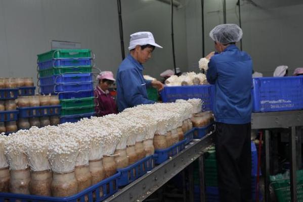 不想打工的小本创业项目有哪些,五个适合穷人创业项目低成本生意