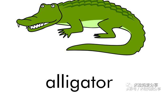 世界上最棒的英文,世界最好用的学习网站