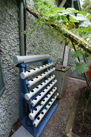 以色列室内无土栽培蔬菜方法,家庭小型无土栽培蔬菜技术