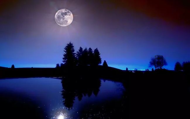 与君共赏意境高远优美的诗句,与千里共婵娟有关的诗词