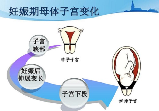 产后恢复吃哪种保健品比较好,产后恢复需要什么维生素