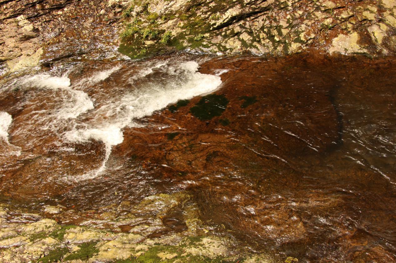 探索美丽的香格里拉,探索福建别墅