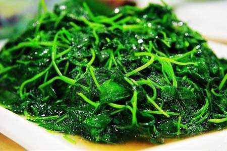 娃儿子不着家娘亲学了种三叶草攻略