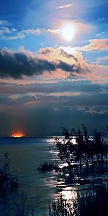 与君共赏意境高远优美的诗句,与千里共婵娟有关的诗词