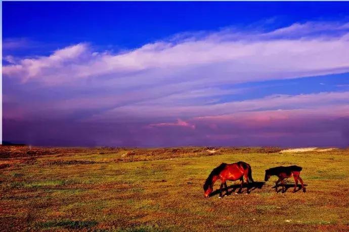 成都到贵州游玩的景点推荐理由,从成都到贵州旅游攻略自由行
