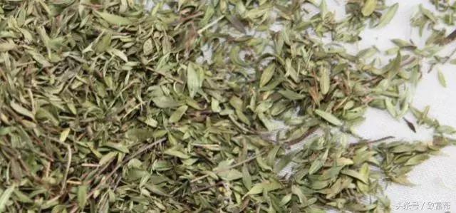 他的羊场是农业部认定的无公害畜产品生产基地，一年收益300万！