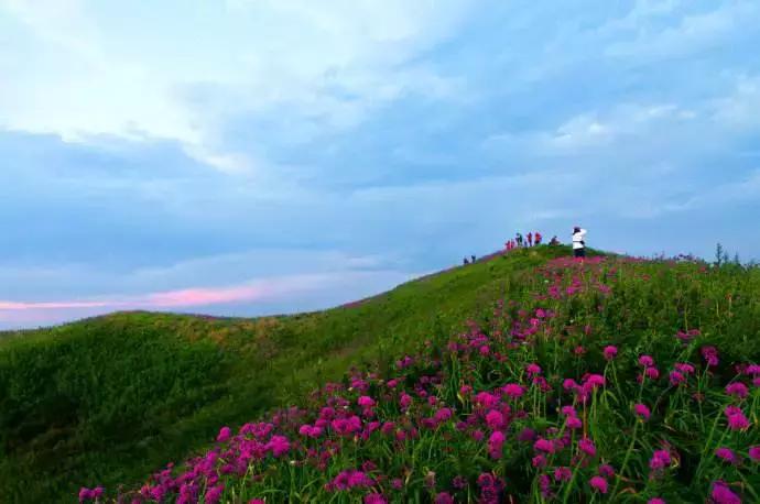 成都到贵州游玩的景点推荐理由,从成都到贵州旅游攻略自由行