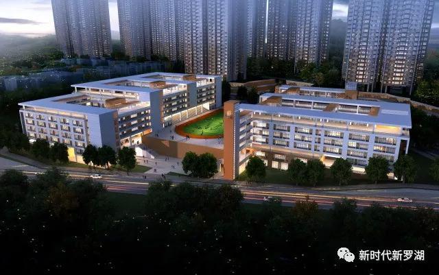 罗湖棚改2020,罗湖棚改名单