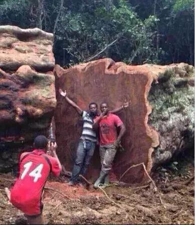 安信实木地板价格一览表及图片,三毫米的旅程