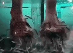 微信gif搞笑动图,gif搞笑动图抖音