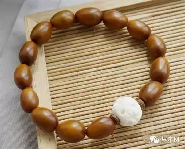 菩提本无树，果实作文玩