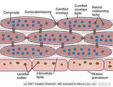 扒一扒水果敷脸都有哪些坏处?