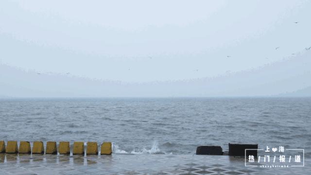 上海17号线朱家角到古镇,上海17号线东方绿舟