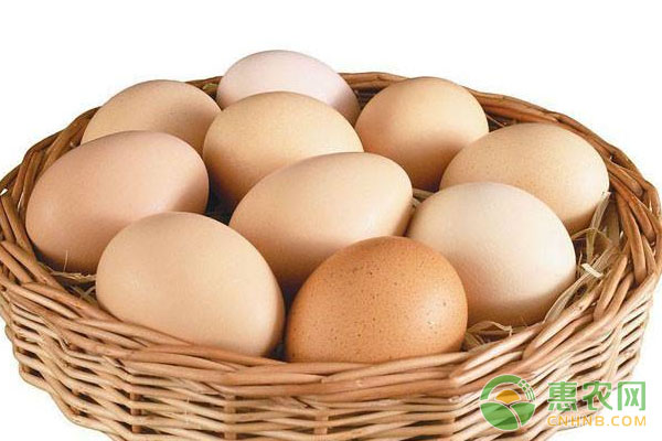 白鸡蛋和红鸡蛋价格对比,今日鸡蛋价格讷河鸡蛋价格