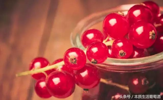 葡萄酒里面有哪些水果,喝葡萄酒前一定要知道的那些事