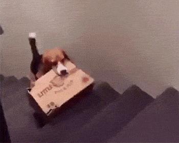 微信gif搞笑动图,gif搞笑动图抖音