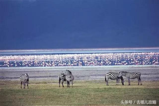 免签国家一览表最新,2023最新免签国家