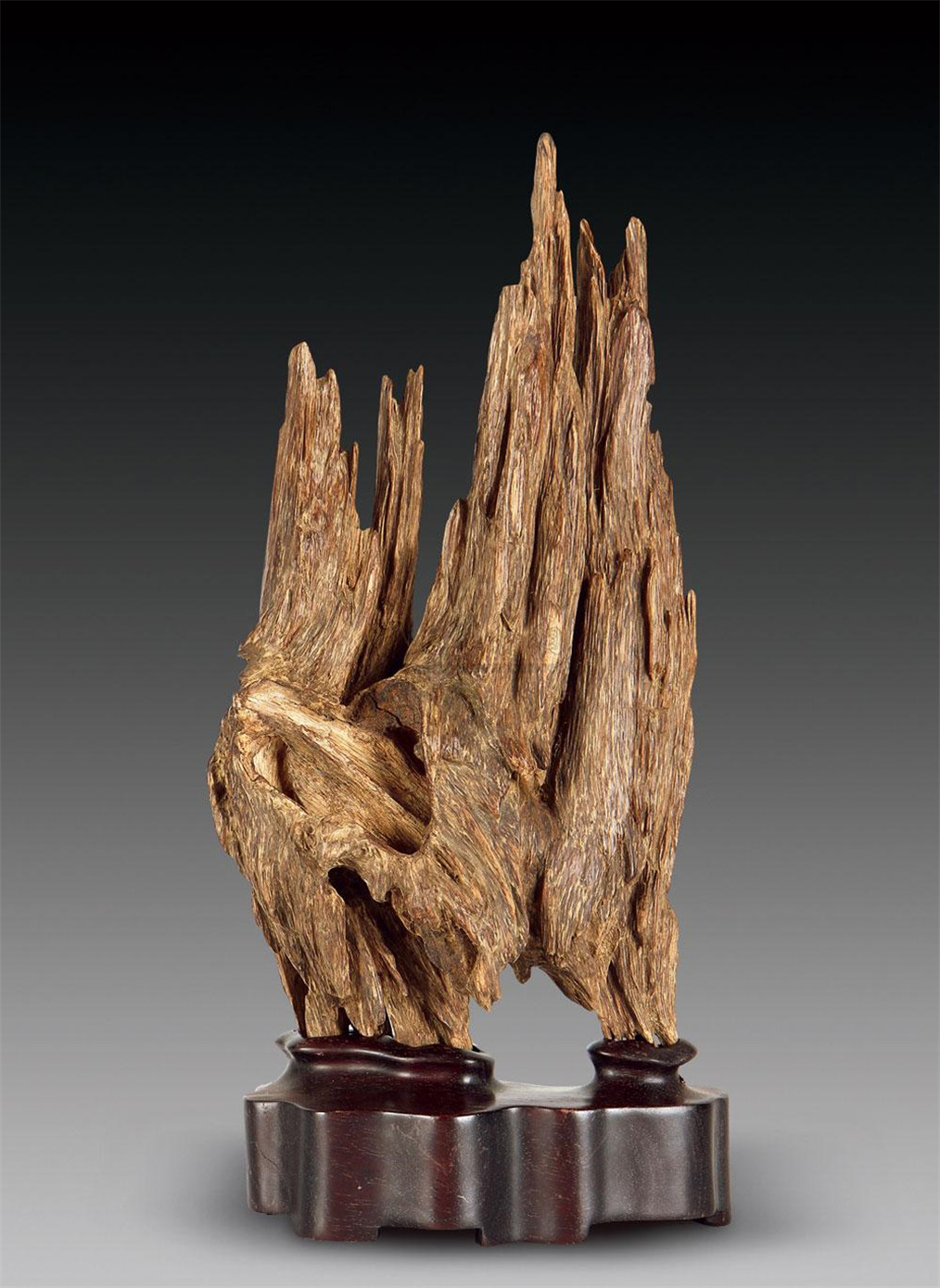 越南药沉香什么意思,越南沉香是什么木