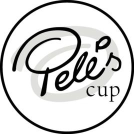 全球十大足球明星排名,世界足球明星十大排名表