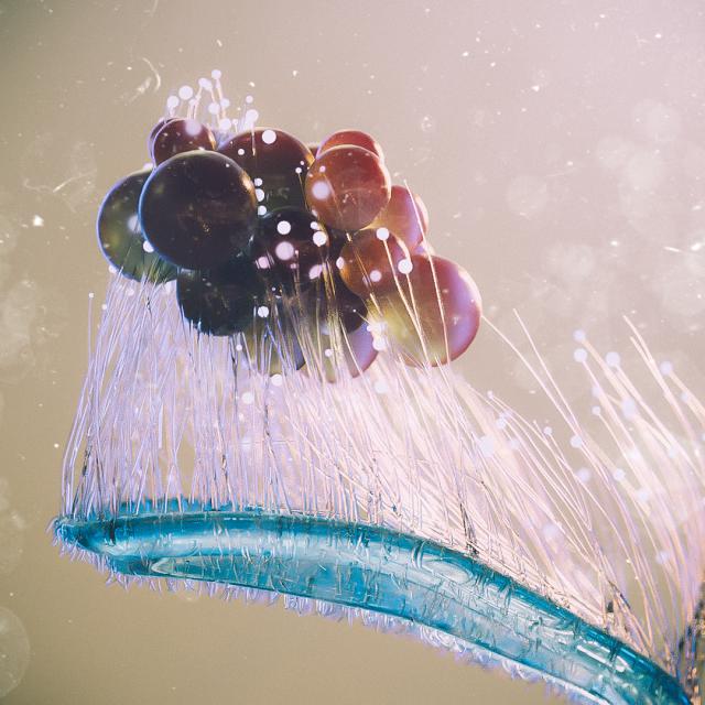 学平面设计有前途吗,美工平面设计有前途吗