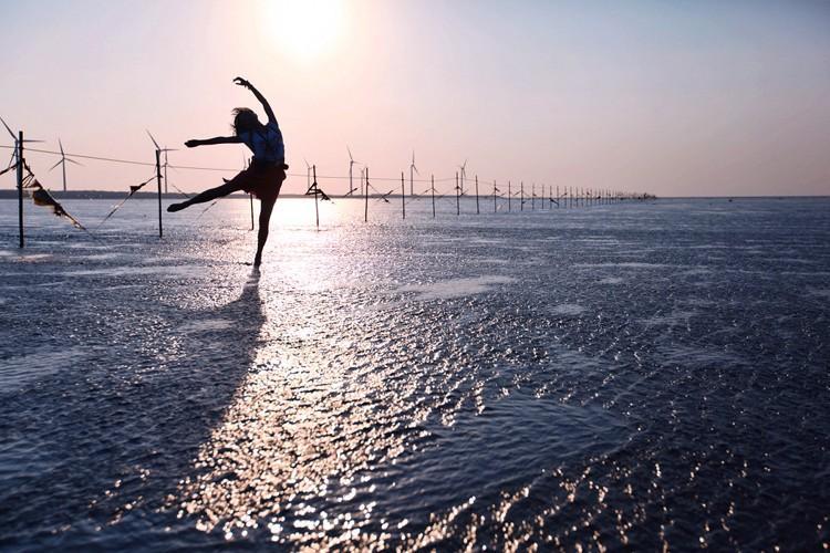 假期又有新去处了!高美湿地:摄影师的创作天堂、娱乐天地