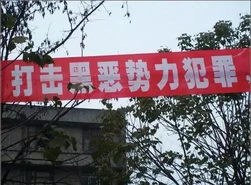 岛读读后感,县域黑社会的生存之道