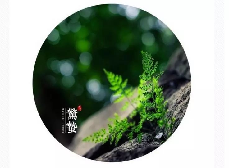 诗词原创长相思,长相思情感经典诗词