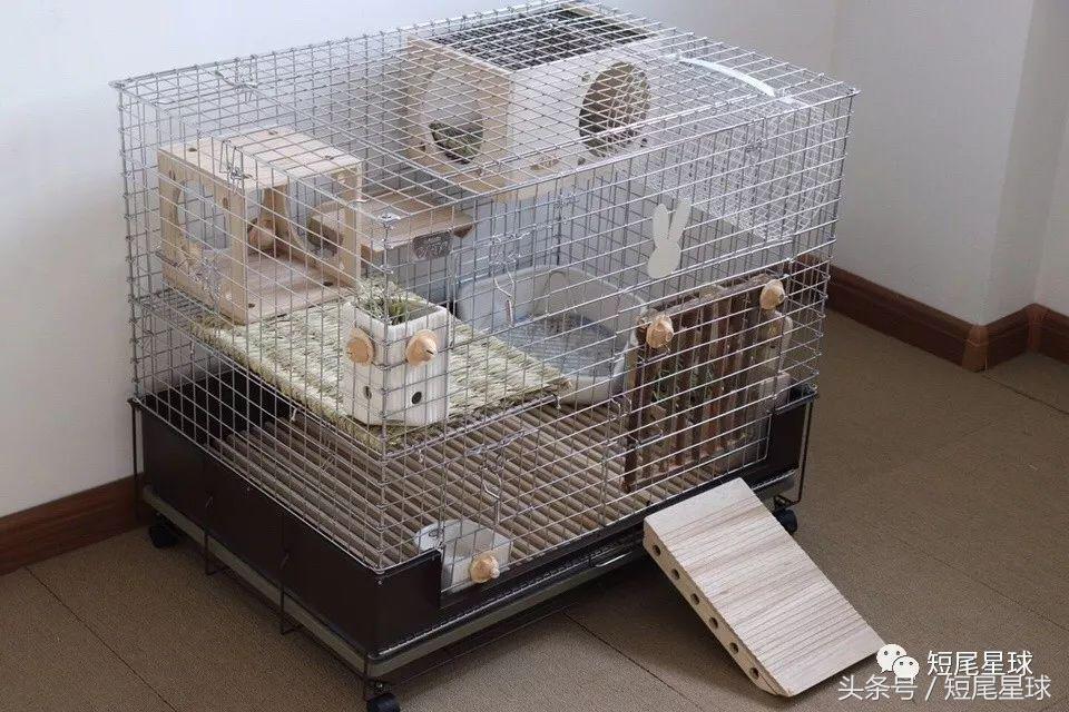 兔笼子哪一款最好,兔兔适合什么兔笼
