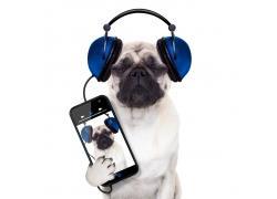 你们现在听歌都用什么软件,你们都用什么听歌软件