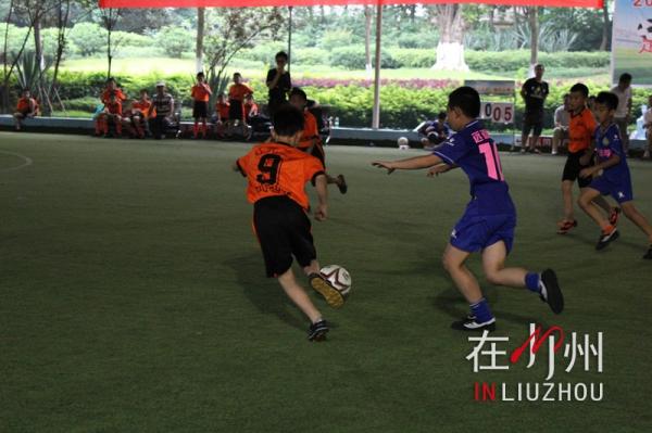 2024柳州小学生足球比赛,柳州小学区长杯足球比赛