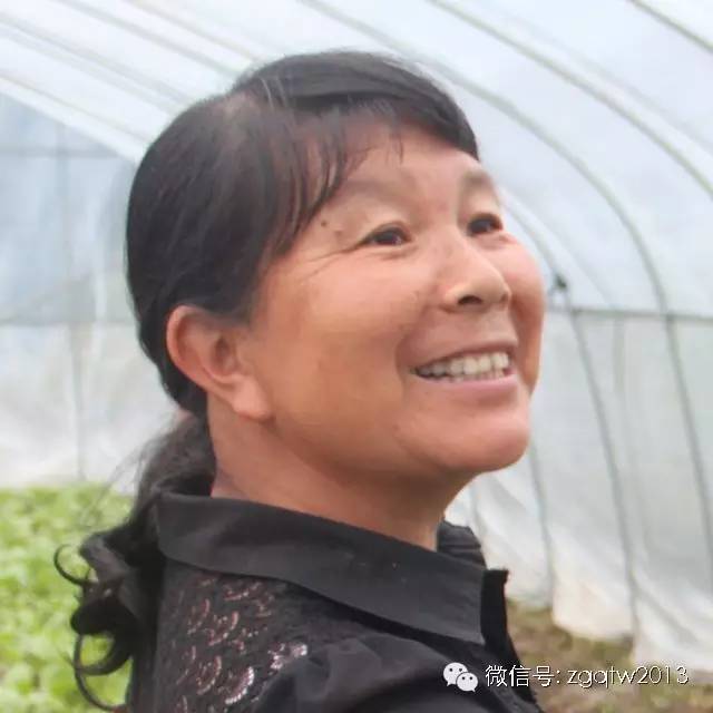 致富经7000万养羊完整版,致富经200万养牛完整视频