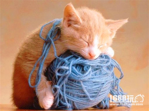 1688平台的生意机会在哪里,1688平台的认知