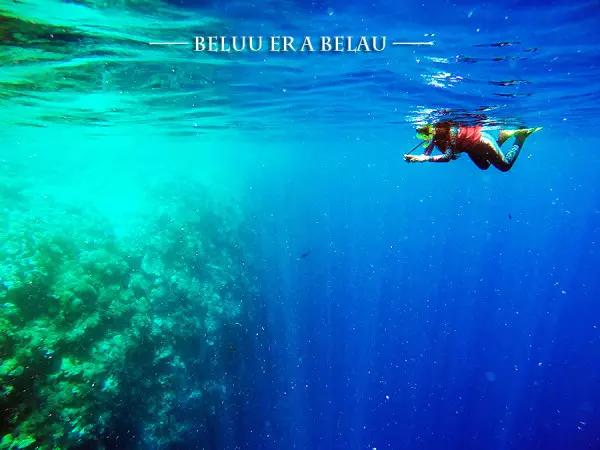 帕劳·遇见·潜水|趣·旅行线上分享会（第二期）