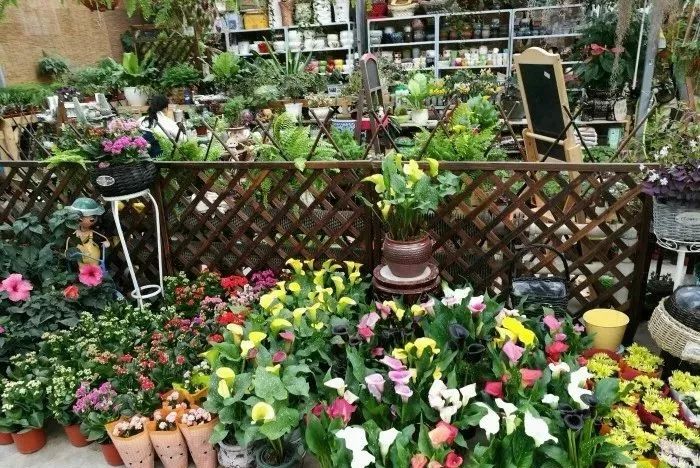 近期大连有什么活动,大连九月份有什么活动