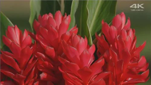 小米盒子4加强版评测,小米盒子4语音控制测评