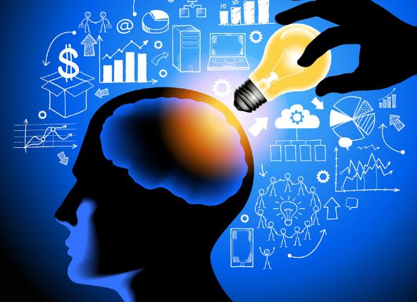 你真的了解自己的大脑,你的大脑到底在经历些什么