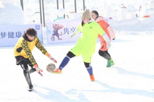 哈尔滨雪地杯足球小将,足球小将北海道雪地