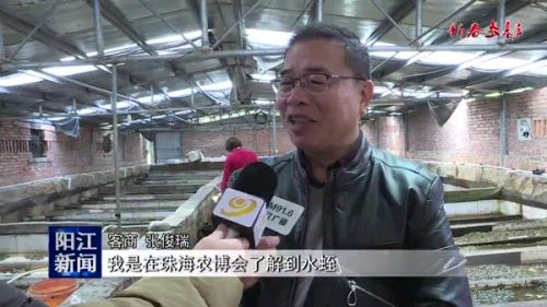 水蛭菲牛蛭生态养殖,水蛭养殖技术创新