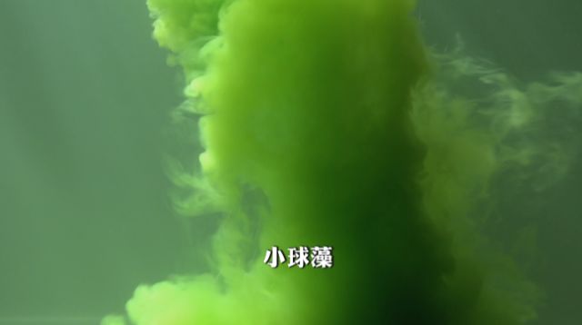 泥鳅一般一年亩产多少斤,亩产成品泥鳅4000多斤