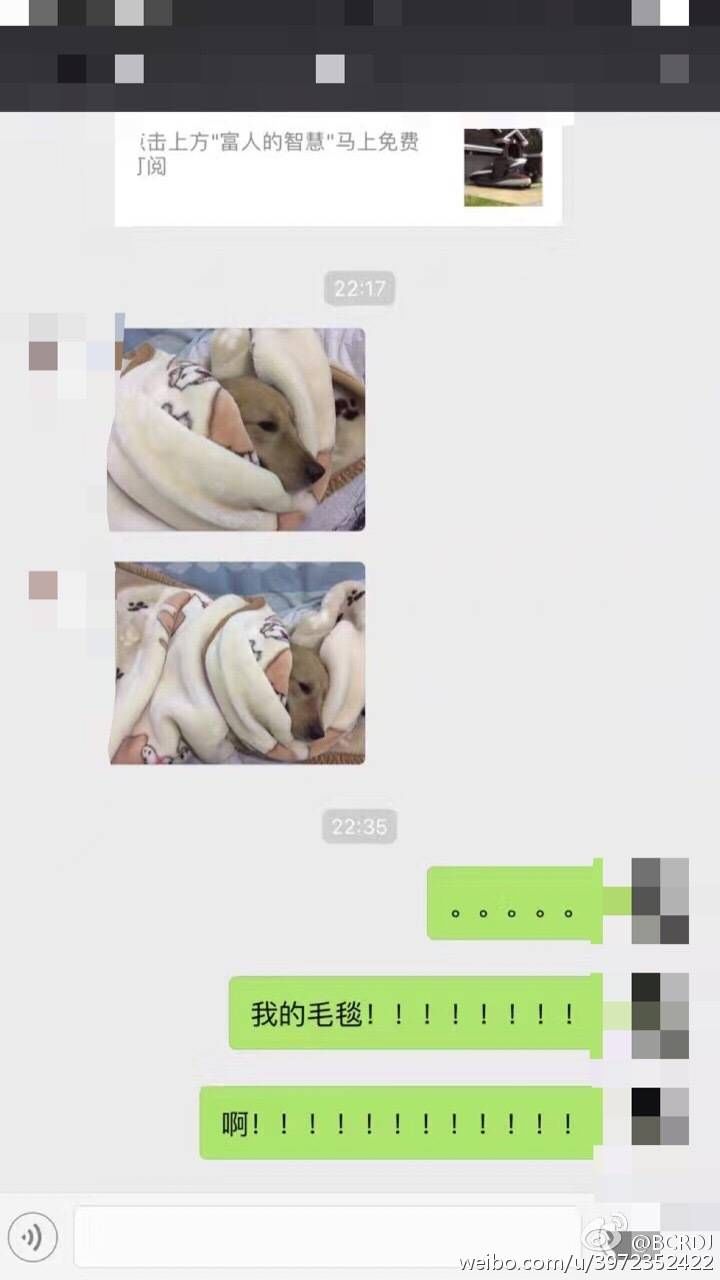 带狗回家后的第一天,带狗回家过年后带不回来了