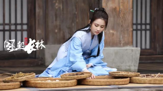 琅琊榜之风起长林剧情精讲,琅琊榜之风起长林人物介绍