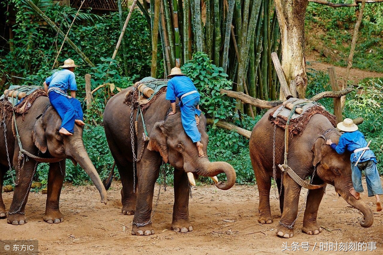男人去泰国旅游需要注意什么,带小孩去泰国旅游要注意什么