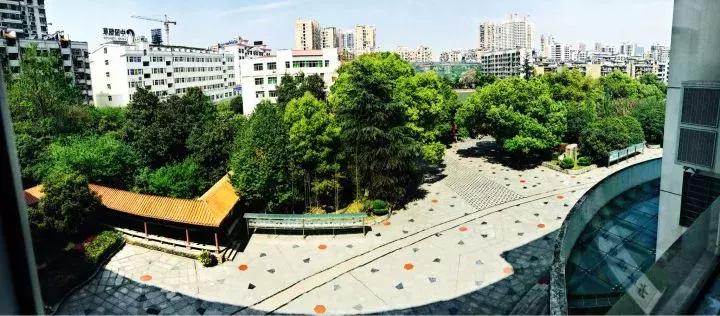 宜昌一中就读条件,在宜昌生活中的真实感受